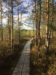 718e7f60-c351-4024-b545-7fa69de19719